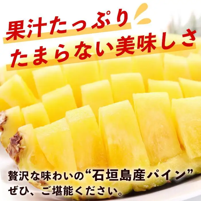 【先行予約】石垣島産 ハワイ種 パイン (6玉 約6㎏)  TP-6