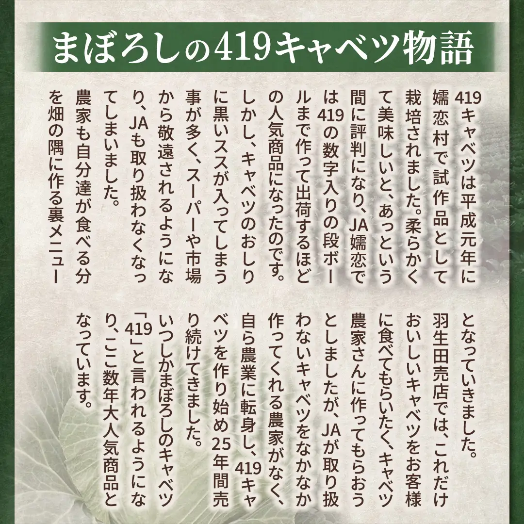 【ふるなびWEEK対象】【7月中旬発送開始】訳あり まぼろしの419キャベツ 4玉 きゃべつ 嬬恋村産キャベツ 羽生田売店 幻のキャベツ419 産地直送 期間限定 人気 朝採り 通販 お取り寄せ 関東 群馬 出荷時期限定 ZIP! 先行予約 [AL006tu] 