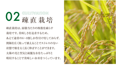 【定期便3回】黒米 400g 米 こめ ごはん 健康 古代米 岐阜県産 本巣市 お米 美容 健康 おにぎり 弁当 おいしい 旨味 ぷちぷち 和食 アグリフレンドホリグチ 3か月