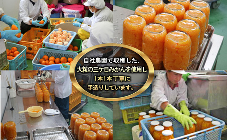 三ヶ日みかん みかんのびん詰詰め合わせ2本セット（900g×2本セット）静岡 浜松市
