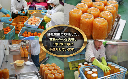 甘夏みかんびん詰め 小瓶2本セット（500g×2本セット）静岡 浜松市 