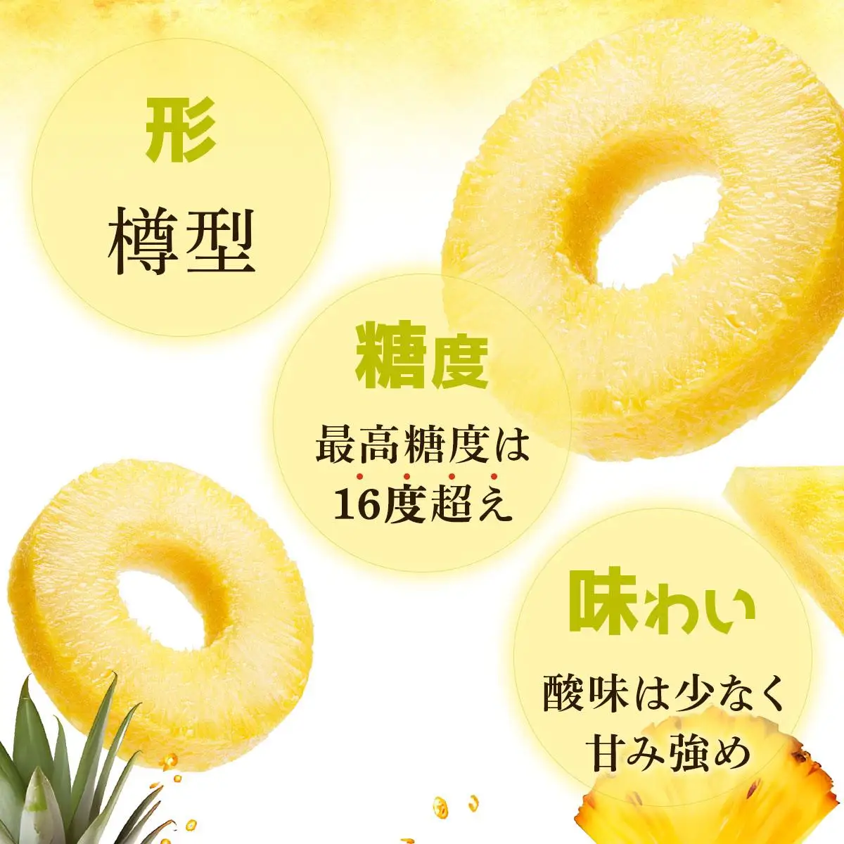 夏実パイン 大玉3個 計3.9kg