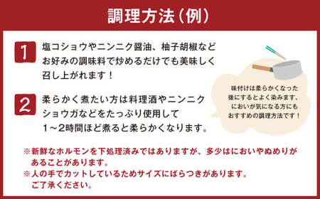 【ボイルセット】豚ホルモン4種＆社長自家製甘辛タレセット 計約1.7kg（約5～6人分前）