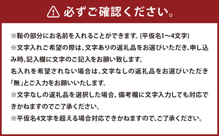 【文字あり】【名前が入れられる!】段ボール製 木馬 (恐竜 ティラノサウルスバージョン)