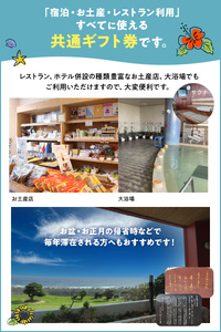 共通 ギフト券 3000円 ＠ おきえらぶ フローラルホテル C003-027 旅行 観光 宿泊 チケット