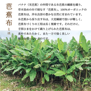 芭蕉布 名刺入れ C011-025 工芸品 植物染織物