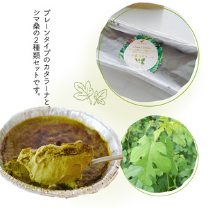 カタラーナ プレーン タイプ と シマ桑 約200g × 各1本 C035-011 冷凍 菓子 お菓子 スイーツ プリン 焼きプリン