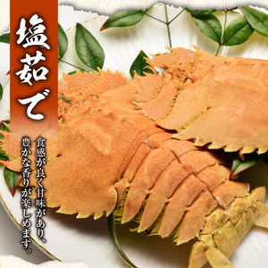 沖永良部 島産！ ゾウリエビ 約1kg （ 4～7尾 ） C041-001 魚介類 冷凍 海老 エビ