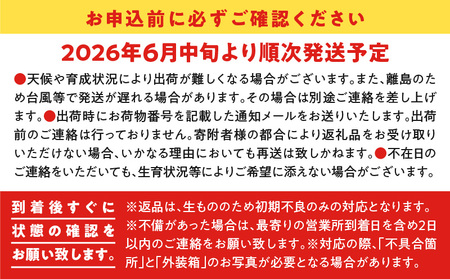 【 2026年 先行予約 】 えみちゃん農園 大玉 パッションフルーツ （ 12個 入り ） C008-004 果物 フルーツ