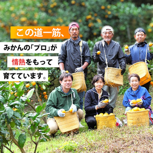家庭用 有田 みかん サイズ混合(2S～2L) 5kg+250g ※11月発送(完熟) / 温州みかん 有田みかん 訳あり 甘い 光センサー選果 果物 柑橘 和歌山 ※北海道・沖縄・離島への配送不可 【ikd004-cm-5-novC】 