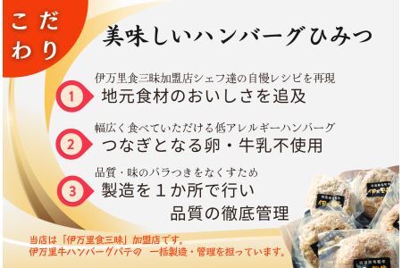 【殿堂入り達成！】伊万里牛ハンバーグ5個入（ソース付）172-J960
