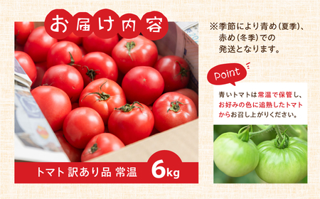 【2026年10月～発送】大容量 トマト 6kg 訳あり トマト ポットファクトリー