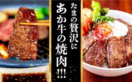 長崎和牛 あか牛 焼肉用 1kg (500g×2) 対馬 牛 和牛 焼肉 冷凍配送 あか牛 赤身肉 赤身 ローストビーフ 牛肉 和牛 肉ギフト ギフト 肉料理 年末年始 パーティー クリスマス ディナー おつまみ BBQ バーベキュー 豪華 贅沢 家族 [WCR004]