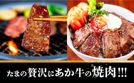 長崎和牛 あか牛 焼肉用 500g 対馬 牛 和牛 焼肉 冷凍配送 あか牛 赤身肉 赤身 ローストビーフ 牛肉 和牛 肉ギフト ギフト 肉料理 年末年始 パーティー クリスマス ディナー おつまみ BBQ バーベキュー 豪華 贅沢 家族 [WCR005]