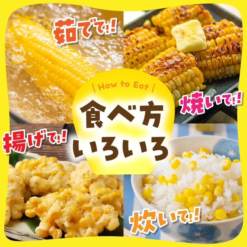 ＜てんとうむしばたけ＞有機とうもろこし5本