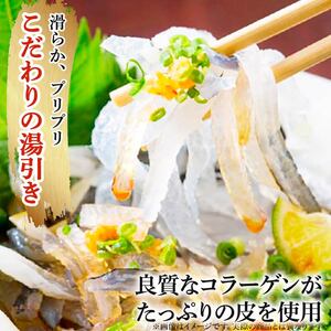 【 7営業日以内発送 】 ふぐ 刺身 2人前 ふぐ刺し ふぐ