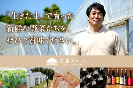 朝採り新鮮！有機野菜セット詰合せ（7～9種類）3回コース【定期便】 定期便 採れたて 産地直送 葉物 有機JAS認証 野菜セット 旬の野菜 野菜【139_1919】