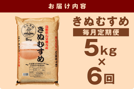 【令和7年産】【新米先行予約】【定期便】浜田市産きぬむすめ30kg（5kg×6回コース）＜2025年10月14日より順次発送＞お米 一等米 お取り寄せ 特産 精米 白米 ごはん ご飯 コメ 30kg 30キロ 【197_1956】
