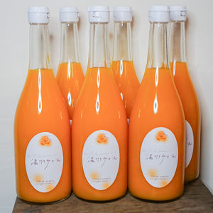 【2026年2月上旬から順次発送】温州みかんジュース 720ml × 12本 果汁100% 無添加 ストレートジュース 数量選択可 | みかんジュース 果汁100% みかんジュース ストレート 100% ジュース 柑橘 果汁飲料 みかんジュース NPO法人農音 愛媛県 松山市 中島【NO102】