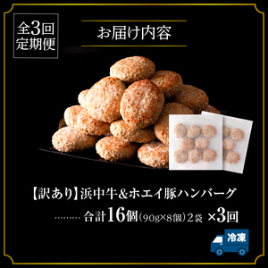 ＜全3回定期便・連続＞【訳あり】浜中牛＆ホエイ豚ハンバーグ定期便（計48個）_H0019-103