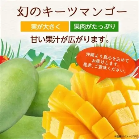 【2026年8月から順次発送・訳あり】JAおきなわ厳選!沖縄県産キーツマンゴー2kg(2～3玉)【配送不可地域：離島】【1494452】