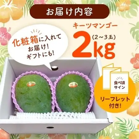 【2026年8月から順次発送・化粧箱】JAおきなわ厳選!沖縄県産キーツマンゴー2kg(2～3玉)【配送不可地域：離島】【1494471】
