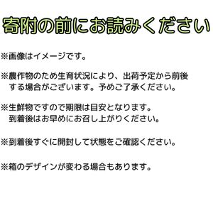 【南信州高森産】旬のシャインマスカット1房(約600g)
