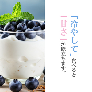 【2週間配送】ブルーベリー 600g（100×6パック）  生ブルーベリー 手摘み 大粒 フルーツ 果物 人気 徳島県 小松島市