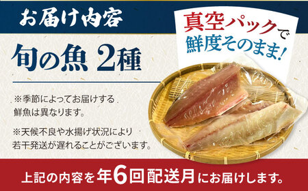 【6回定期便】【冷蔵】【下処理済】鮮魚ボックス2種 五島市/金沢鮮魚[PEP010] 金澤仕立て  鮮魚 冷蔵 真空パック 新鮮 下処理済み 海鮮 刺身 セット