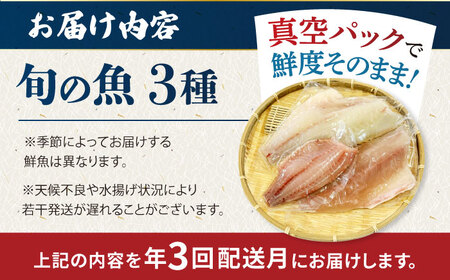 【3回定期便】【冷蔵】【下処理済】鮮魚ボックス3種 五島市/金沢鮮魚[PEP012] 金澤仕立て  鮮魚 冷蔵 真空パック 新鮮 下処理済み 海鮮 刺身 セット