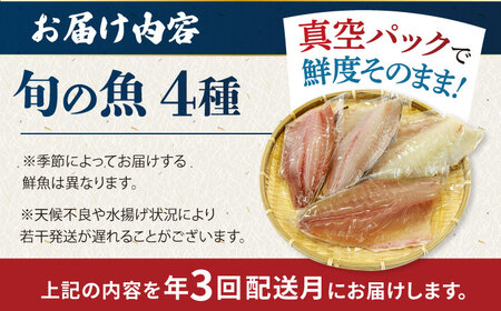 【3回定期便】【冷蔵】【下処理済】鮮魚ボックス4種 五島市/金沢鮮魚[PEP015] 金澤仕立て  鮮魚 冷蔵 真空パック 新鮮 下処理済み 海鮮 刺身 セット
