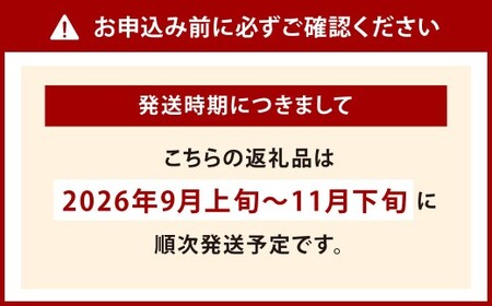 【秋限定】無着色昆布漬めんたい『秋仕込み』 360g【2026年9月上旬～11月下旬順次発送予定】明太子 めんたいこ 福岡県 北九州市
