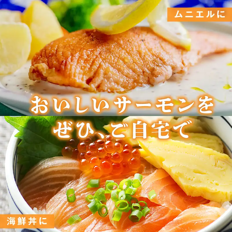 タスマニアサーモン 1kg