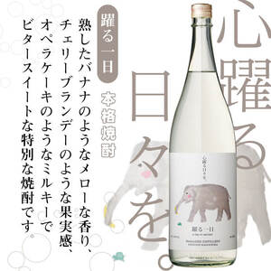＜入金確認後、2週間以内に発送！＞若潮酒造 焼酎・スピリッツ＜一日シリーズ＞飲み比べセット 1800ml×3本 c4-014-2w