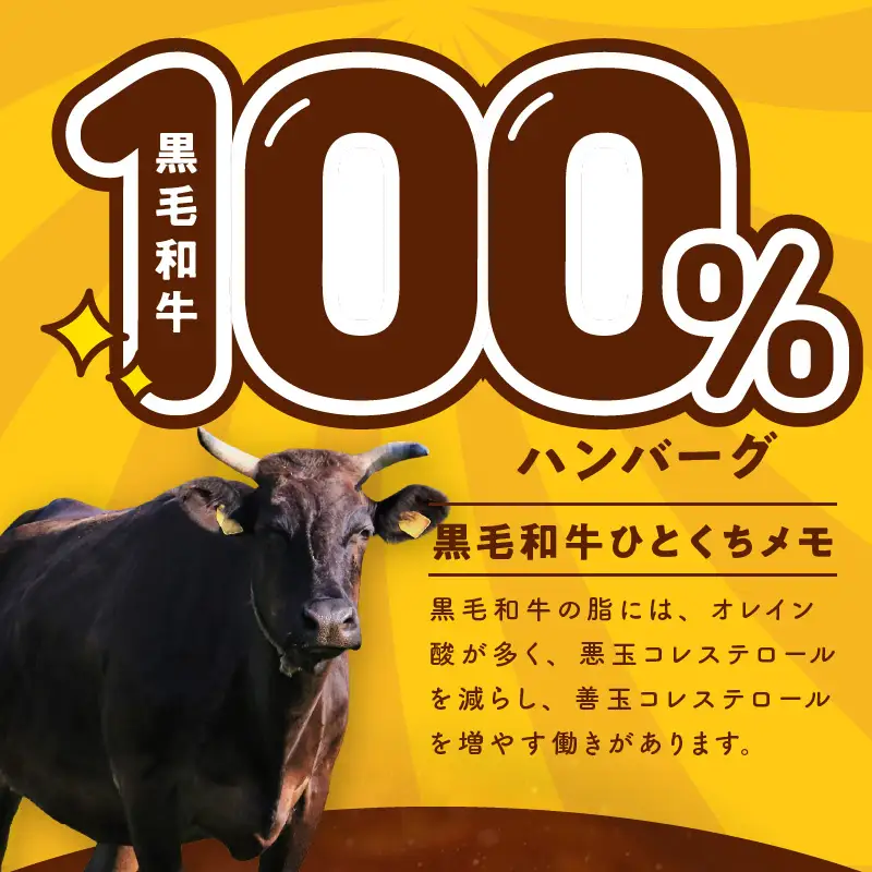 【黒毛牛肉100%】極み ハンバーグ 180g×20P