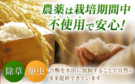 〈令和7年度産米〉 あいがも米 5kg×2 計10kg 【あいがもん倶楽部】 令和7年産 [ZAR027]
