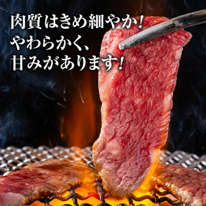 蓼科牛焼肉120g×4パック（バラ・モモ各2パック）