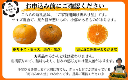 【訳アリ】「河内みかん堂」のみかん4kg＋傷み補償付き（家庭用）【2026年11月上旬～2027年2月上旬まで発送予定】