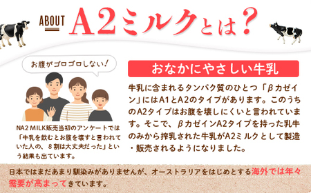 【定期便：全3回】なかしべつ牛乳プレミアム NA2 MILK 200ml×6個【1402901】