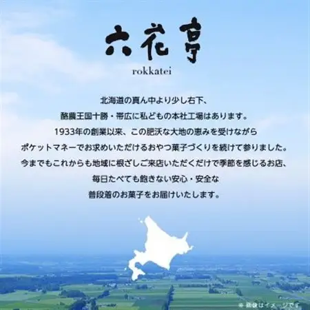 六花亭 ザ・マルセイ 19個入_菓子・スイーツ 焼き菓子  _【配送不可地域：離島】【1505348】