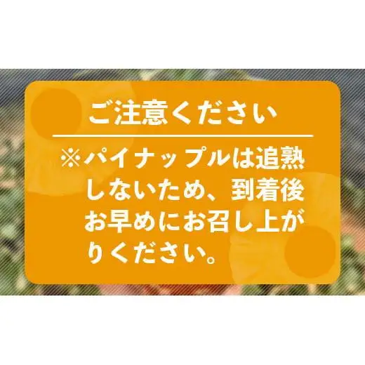 石垣島産完熟スナックパイン 2個セット 　TF-23_R8