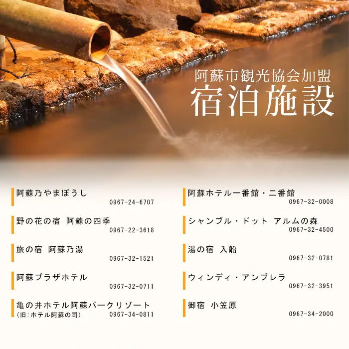 【30,000円分】阿蘇市観光協会加盟施設で使用できる宿泊補助券【旅行】