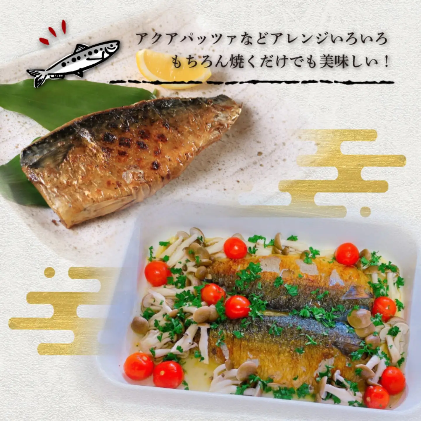 国産 塩鯖 40枚 鯖