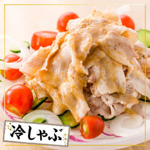 【小分け】 宮崎県産 豚肉 バラ しゃぶ 2.4kg 肉 豚 豚肉 国産豚肉 九州産豚肉 小分け豚肉 スライス 便利