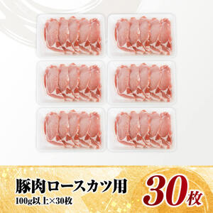 宮崎県産豚肉　ロースとんかつ用（100g以上×30枚） 【 豚肉 豚 肉 宮崎県産 ロースカツ 送料無料 】