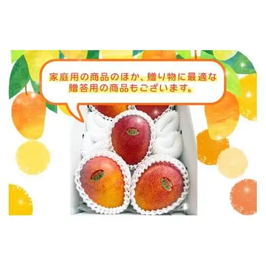 JH002《先行予約 2026年発送》宮古島産マンゴー２ｋｇ【(株)フラモン】