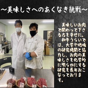 【肉のまち かこがわ】黒毛和牛 赤身切り落とし スライス300g×2 《 黒毛和牛 和牛 牛肉 赤身 お肉 切り落とし 》【2401A00620】