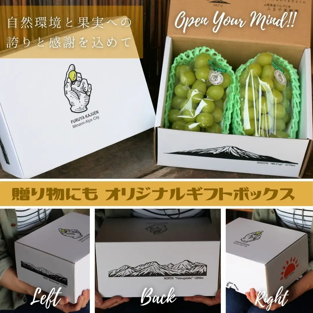 【令和8年発送・先行予約】ハウス栽培　南アルプス市産シャインマスカット(2房・約1.2kg)真心で育てる大地の宝石！【早期出荷】 ALPDX006