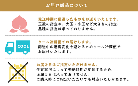先行予約≪8月～9月発送予定≫  品種お任せ 平川市産 白桃 約3kg 【青森県 平川市 田中農園】フルーツ 果物 桃 もも モモ 白桃 ピーチ はくとう お取り寄せ 先行予約 旬 おまかせ［hi-0039-003］ 