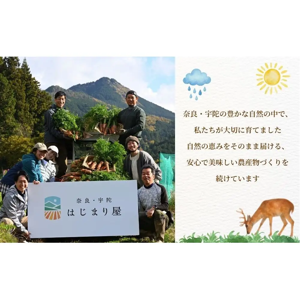 【期間限定】有機人参100％使用 人参ジュース 200ml×20本／ にんじん 有機野菜 無添加 野菜ジュース はじまり屋 奈良県 宇陀市 贈り物 ギフト ふるさと納税